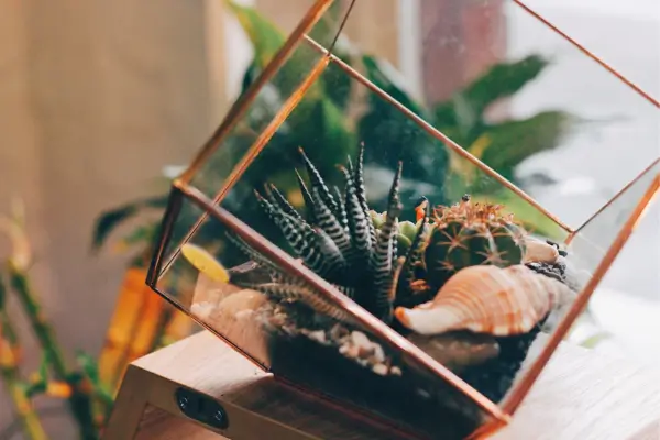 Estimulando o Crescimento Saudável do seu jardim Técnicas para Plantas Tropicais em Ambientes Selados