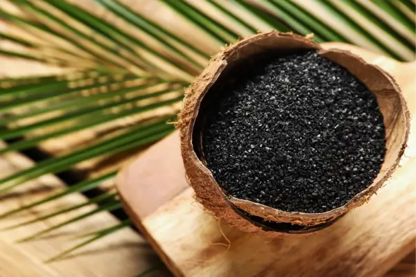 Carvão Ativado no Cultivo Fechado Como Utilizar para Manter um Ambiente Livre de Impurezas