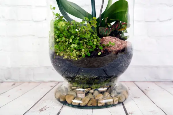 Decoração Suspensa Como Montar um Jardim Flutuante para Interiores